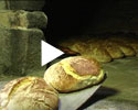 vidéo du blé au pain