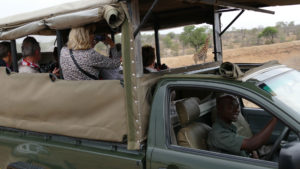 Safari parc Kruger